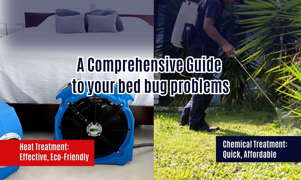 Heat vs. Chemical Treatment for Bed Bugs: Which Is Best for You?
