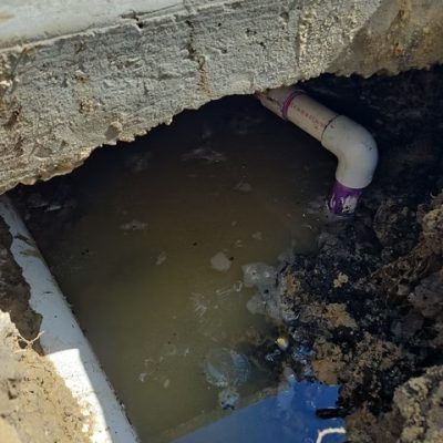 imgi_31_5219b3_2d0d0fb4abf24ebf83d589e6144b2d90~mv2