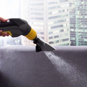 Upholstery Cleaning