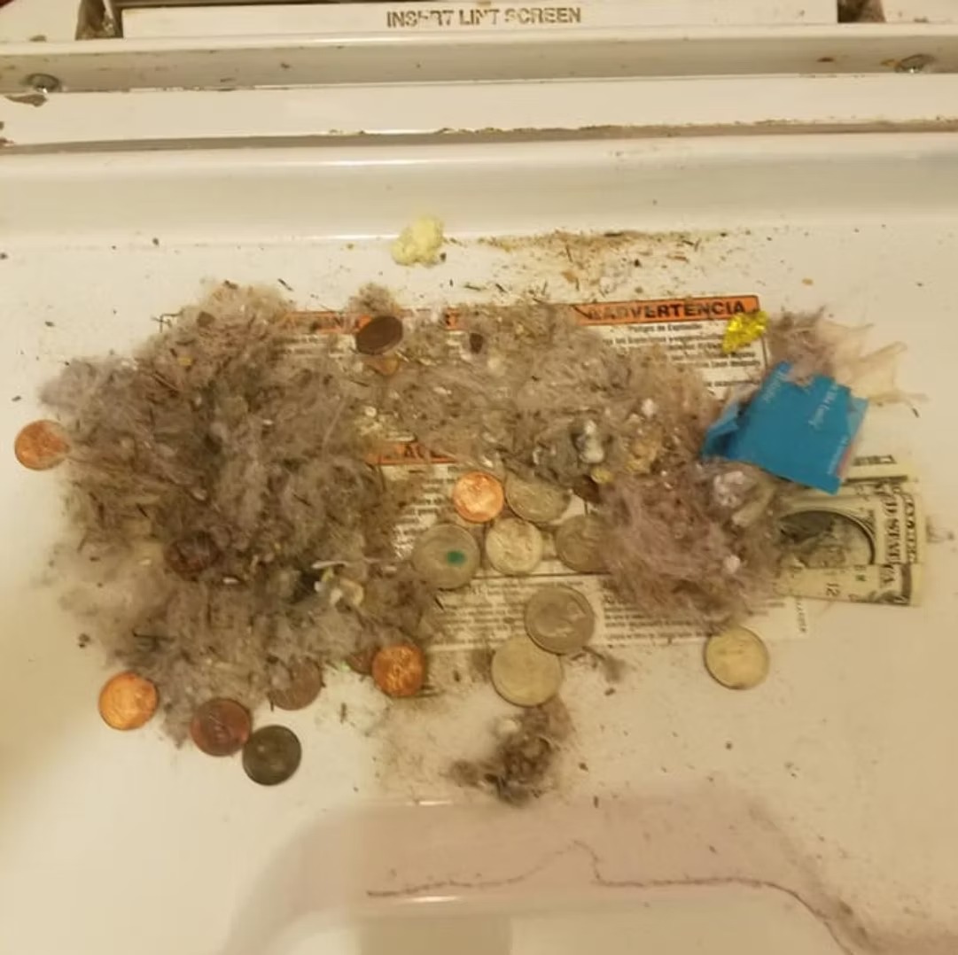 5219b3_2d9250d9559e4410951a69e2acc6e369~mv2