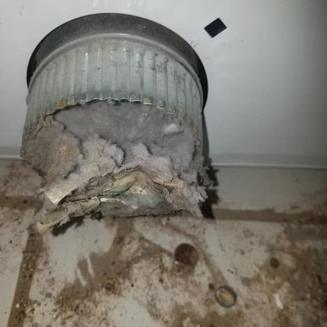 5219b3_4025635af6974b81b87feb07e3ab7bfa~mv2