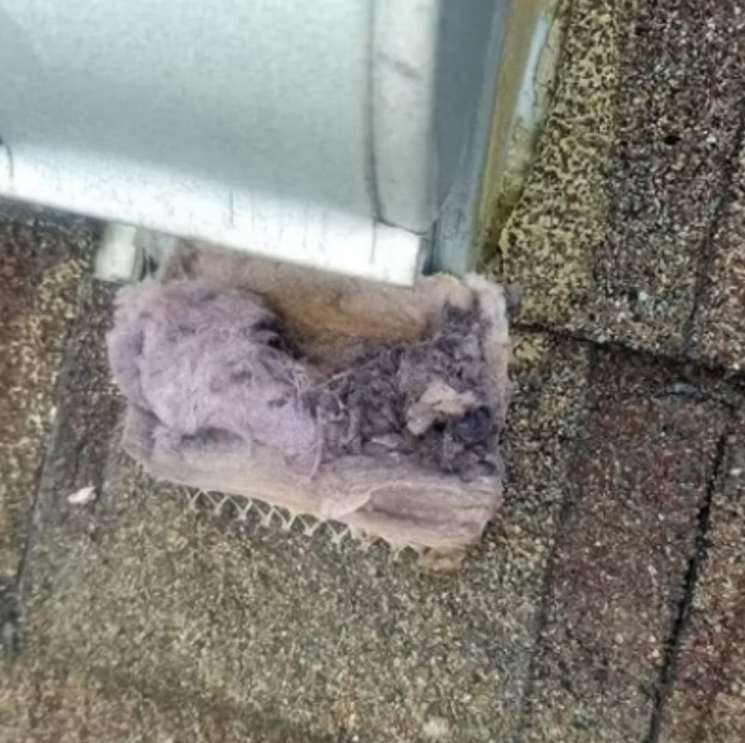 5219b3_47c1e11921834b6e8cdf598934e5ed87~mv2