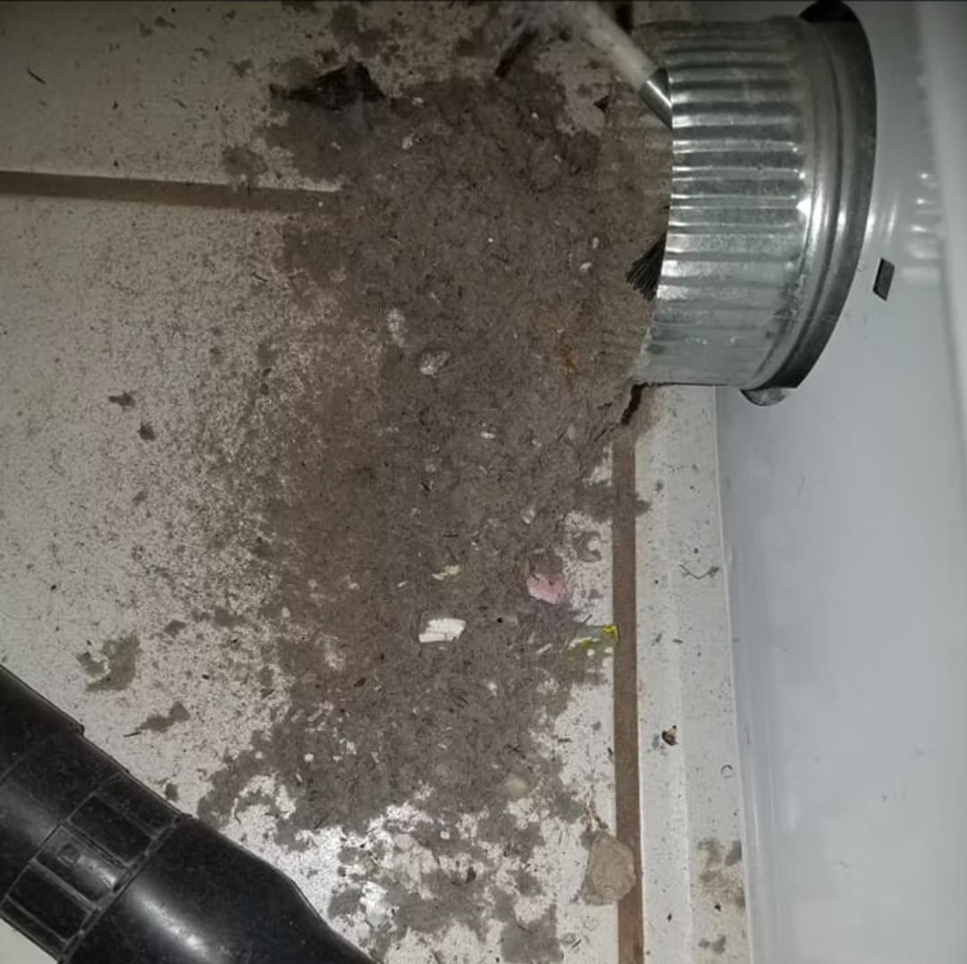 5219b3_87e0e03af979467ab2a6039bd846d3c5~mv2