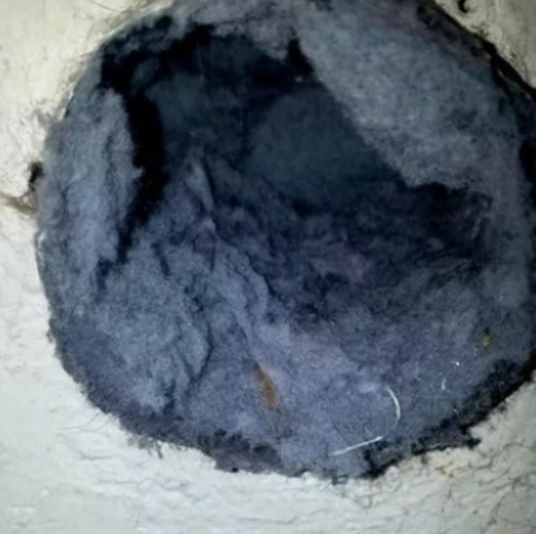 5219b3_a09b1f2b57d444fc87f56a438d7ec298~mv2