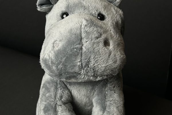 Hippo