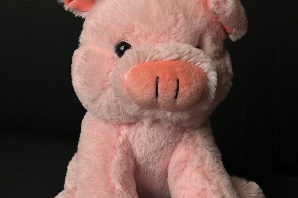 Pig